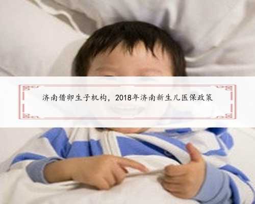 济南借卵生子机构，2018年济南新生儿医保政策