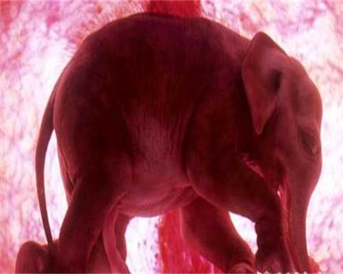 子宫切除生育能力，备孕科普：纵膈子宫有什么危害？能顺利怀孕生子吗？